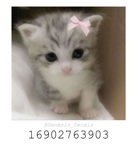 cat image id roblox.